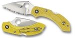 Dragonfly 2 Salt Ser Yellow