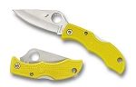 Ladybug3 Yellow FRN H-1 PlainEdge