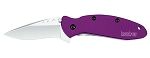 Scallion Aluminum Jewel Tone Purple